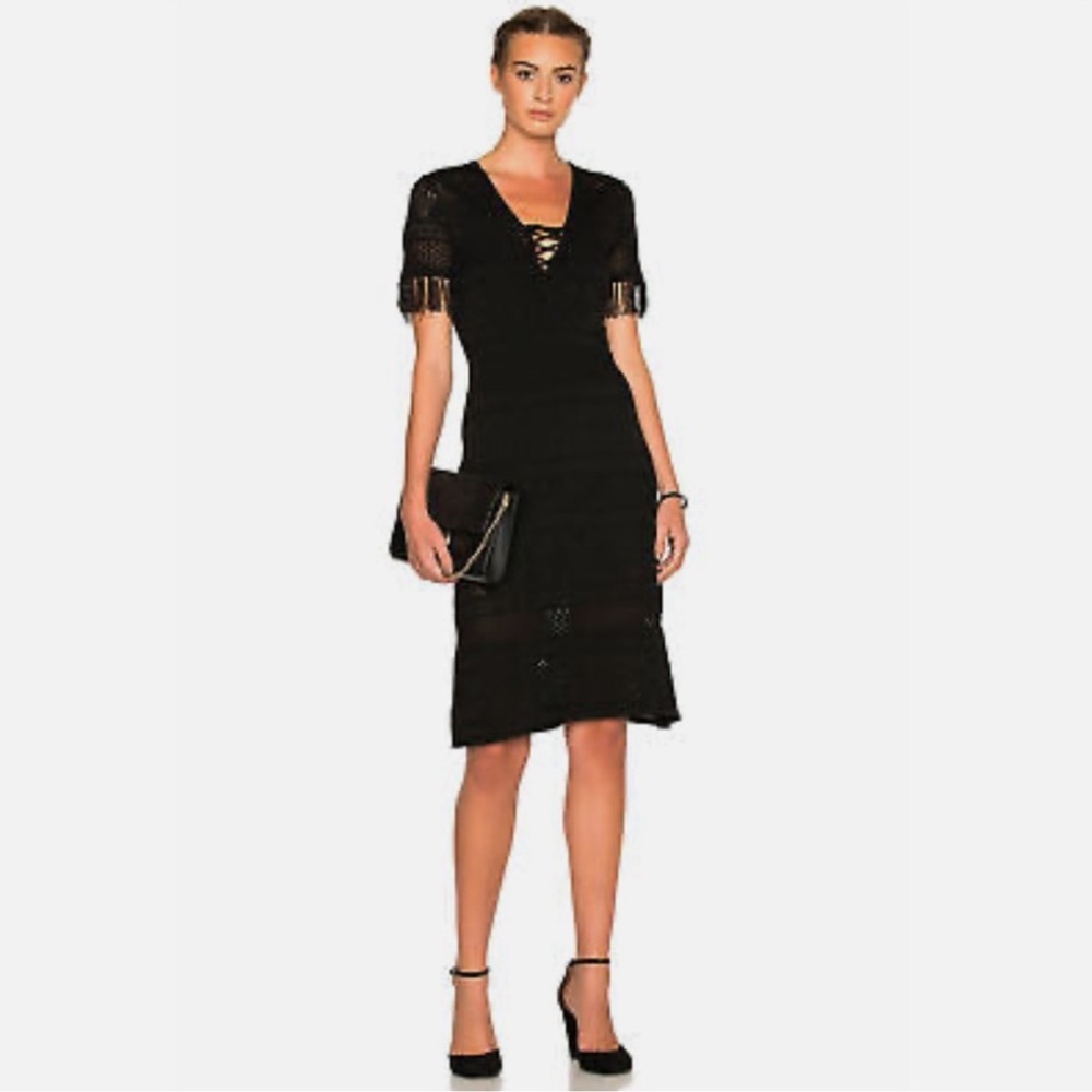 ALC lace crochet dress | Like New